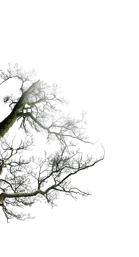 Dead Tree
